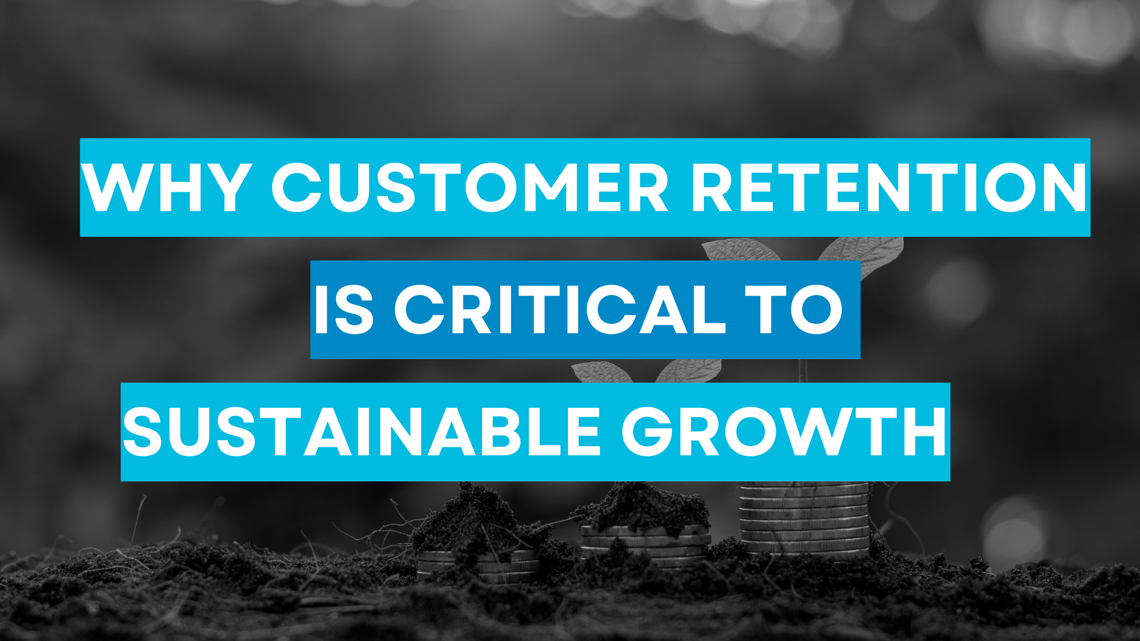 Why Customer Retention is Critical to Sustainable Growth