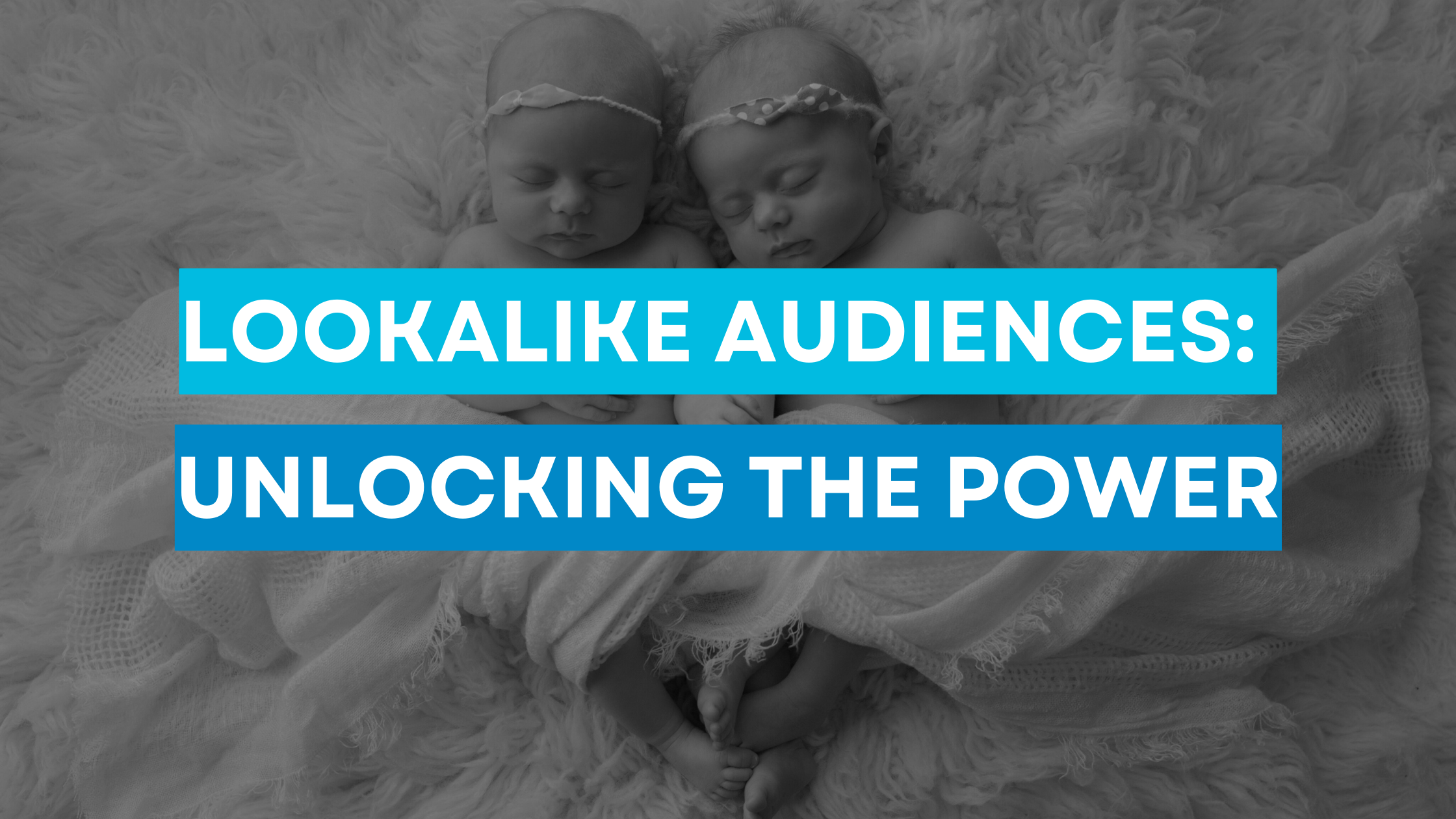 Lookalike Audiences